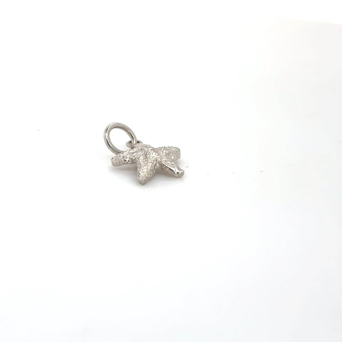 STAR FISH CHARM