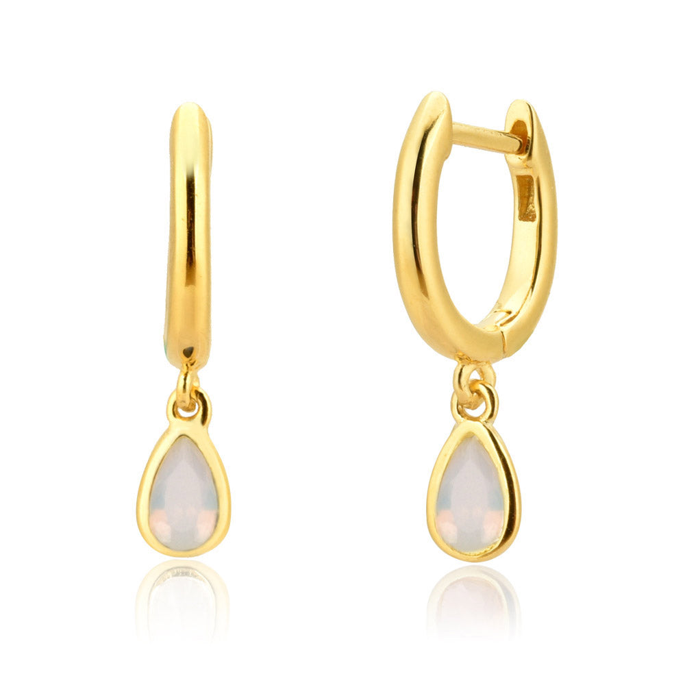 Tiny drop Hoops