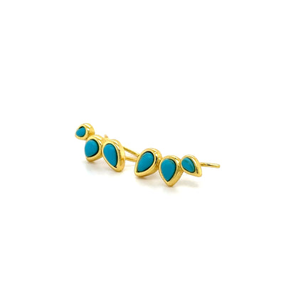 Turquoise Climbers