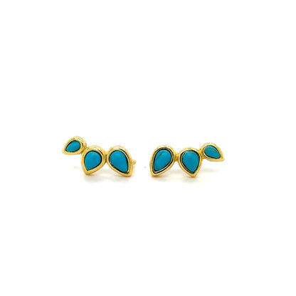 Turquoise Climbers