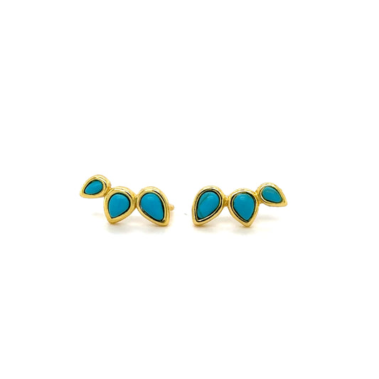 Turquoise Climbers