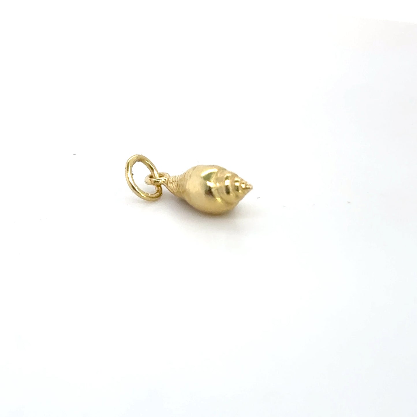 SNELL SHELL CHARM