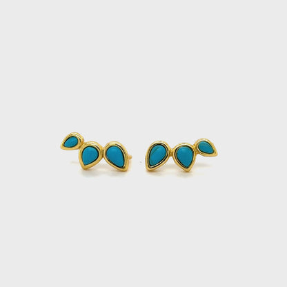 Turquoise Climbers